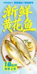 新鲜黄花鱼 