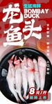 龙头鱼 