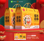 年货包装 新年礼盒