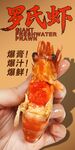 罗氏虾 