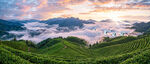 绿水青山大气风景画
