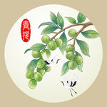 手绘青提
