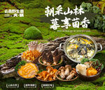 野生菌海报