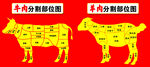牛羊肉分割部位图解