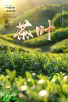茶叶