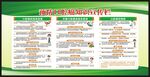 口腔癌防治知识宣传栏