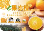 爱媛橙