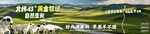 草原海报