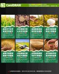 粮食安全海报