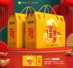 年货包装 新年礼盒