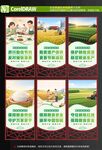 粮食安全