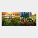 蔬菜