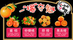 一橘夺魁柑橘促销海报