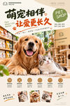 宠物店海报