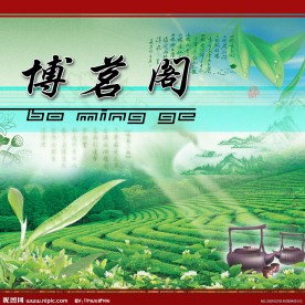 茶叶背景