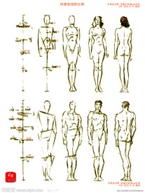 快速安排的比例中英文对照 (全镂空psd分层)