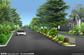道路绿化