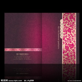 精美花纹艺术画册封面