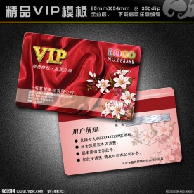VIP模板 vip 精品VIP vip卡 美容卡 美容VIP