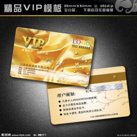 VIP模板 vip 精品VIP vip卡 美容卡 美容VIP