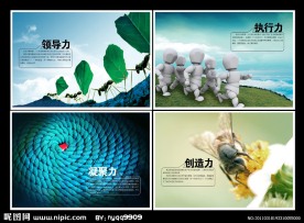 企业 文化 管理
