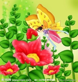 蝴蝶 蝴蝶公主 蝴蝶仙子