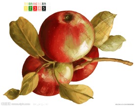 Apple 苹果 通道分层