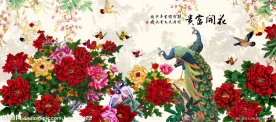 花鸟画图片 花开富贵