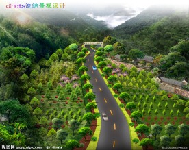 道路绿化效果
