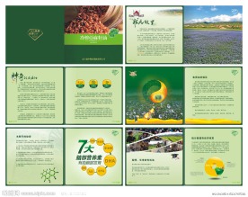 食用油 食品画册