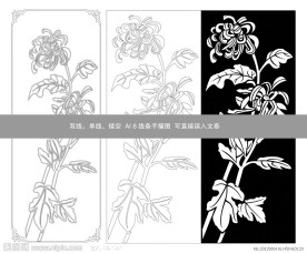 白菊花图图片大全 白菊花图设计素材 白菊花图模板下载 白菊花图图库 昵图网soso Nipic Com