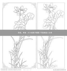 荷花线条图