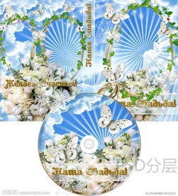 婚庆婚礼DVD光盘和光盘盒设计