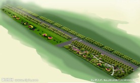 道路绿化鸟瞰图