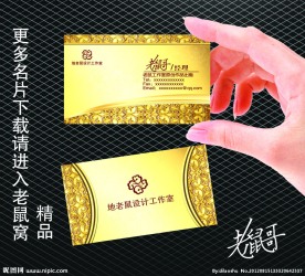 高档名片 图片