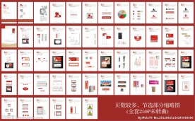 妇产医院VI手册