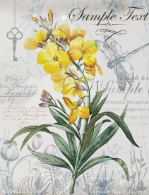 欧式油画 花卉