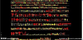 学生必备 植物模型