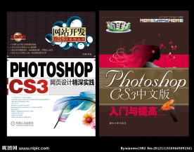 入门与提高 书籍封面