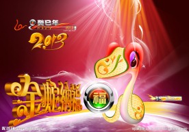 蛇年2013