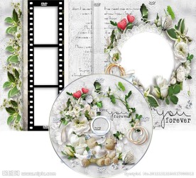 婚庆婚礼DVD光盘和光盘盒设计图片