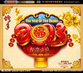 2013 蛇年