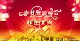 2013春节联欢晚会