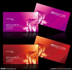 马蹄莲名片设计模板下载