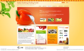 服饰服装时尚英文外贸网站模版 无网页代码