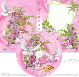 婚庆DVD光盘和光盘盒设计