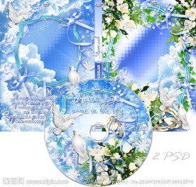 婚庆DVD光盘和光盘盒设计