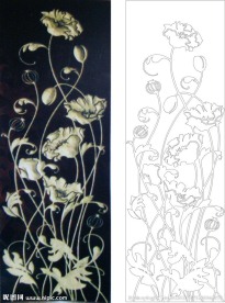 郁金香 线条花
