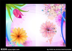 红玫菊花 美容画册封面