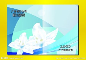 兰花秀丽 封面设计